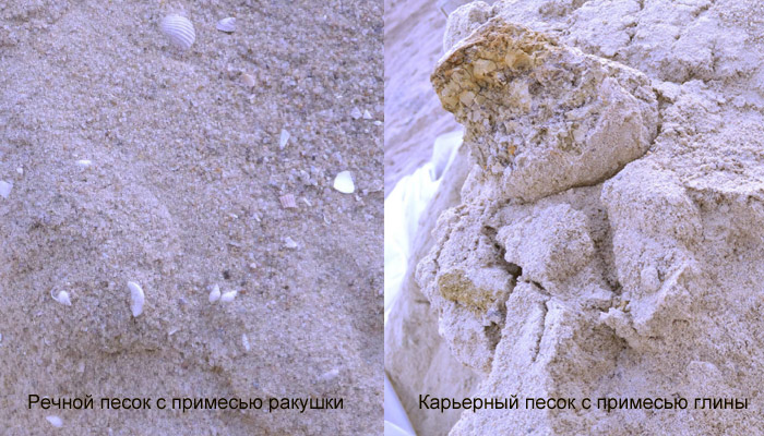 песок с примесью глины и ракушки